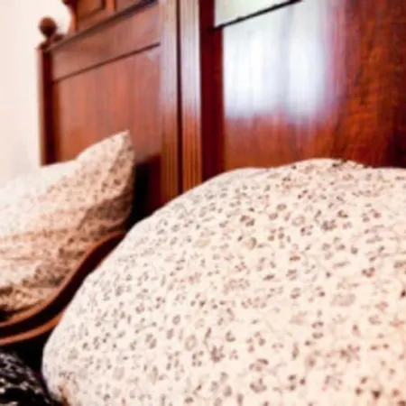 Elsbacher Hof 埃尔巴赫